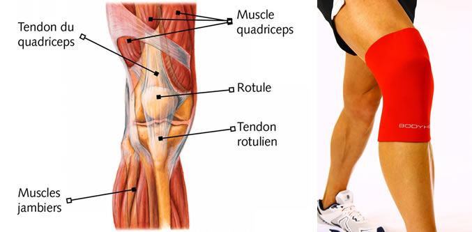 Tendinite symptôme : Douleur genou